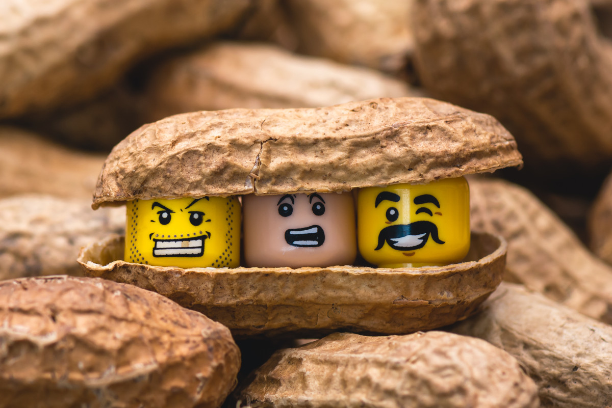 Regression Testing in a Nutshell: Why is it Important?
