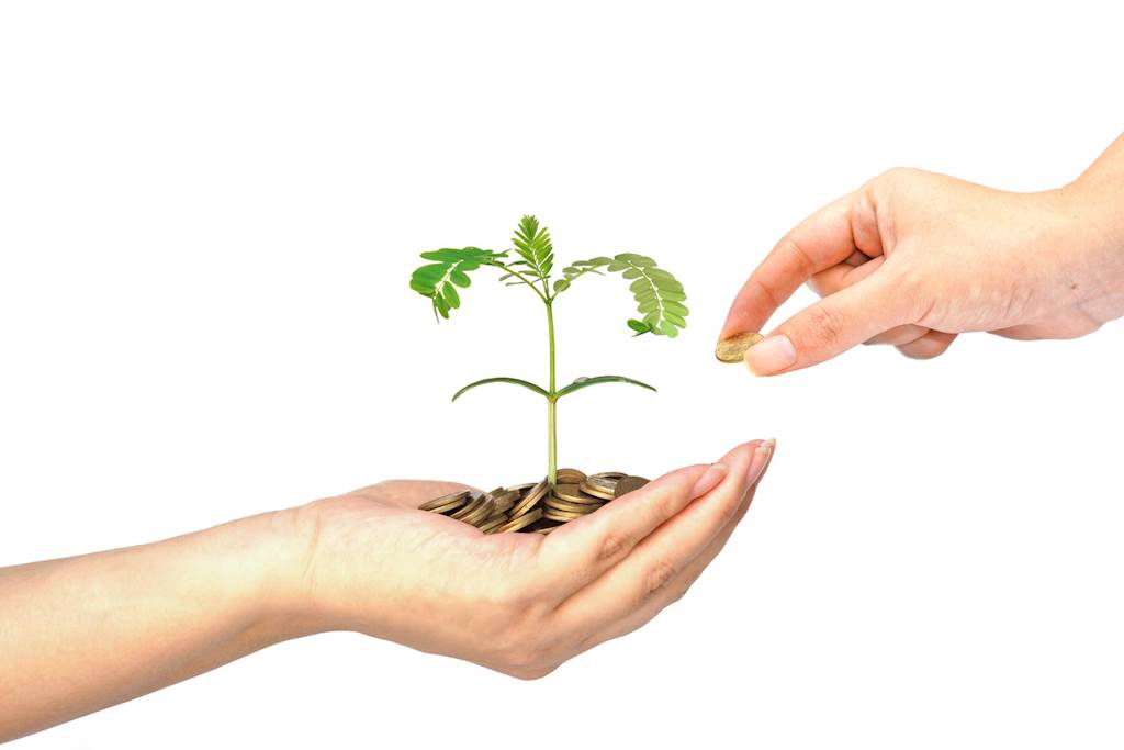 How Good IT Leadership Can Improve Profitability