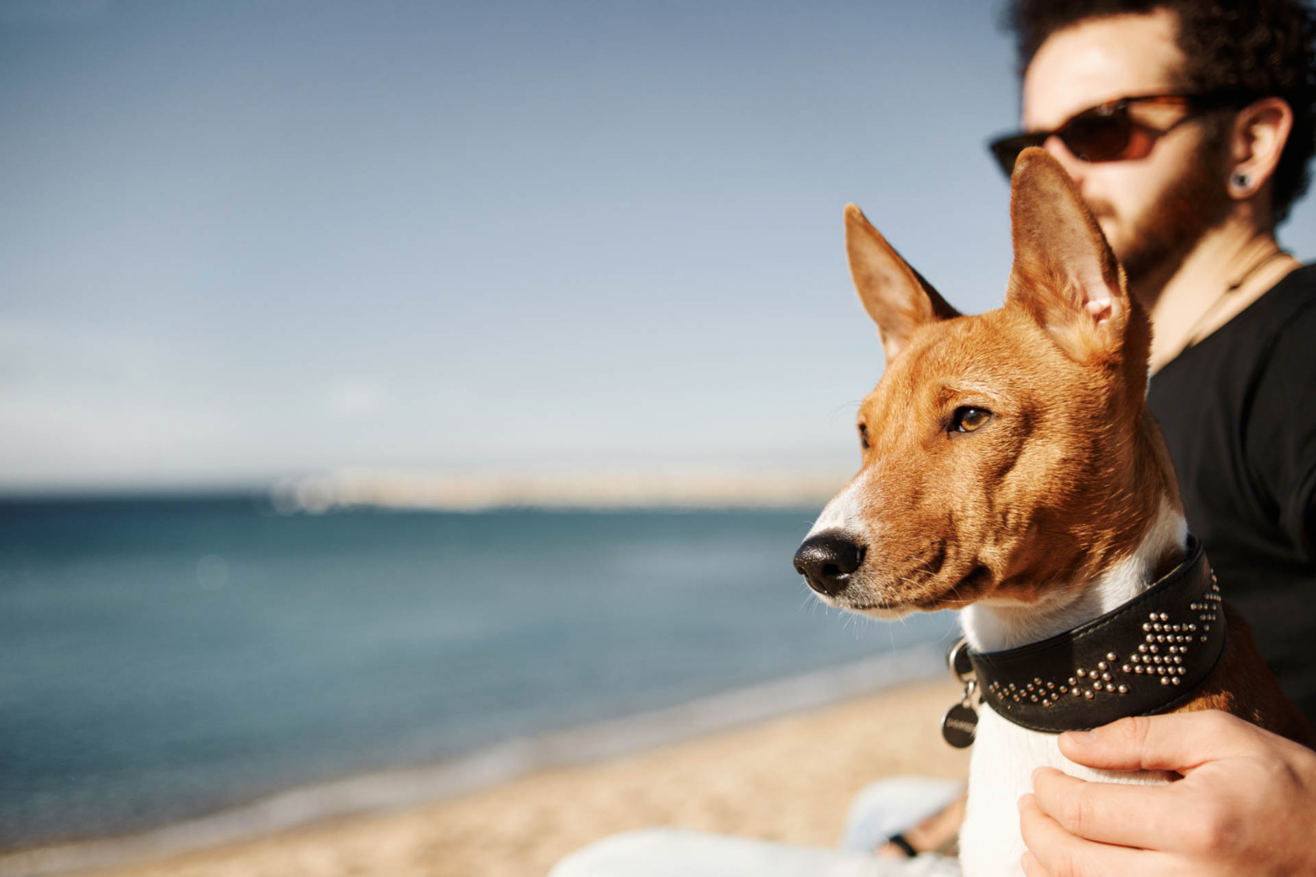 Why Authentic Brands Win Big on Customer Loyalty
