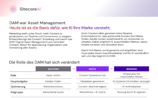 DAM kennen Sie als Asset-Management