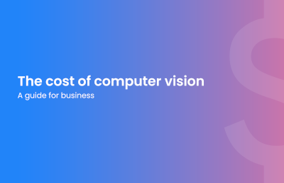 The cost of computer vision