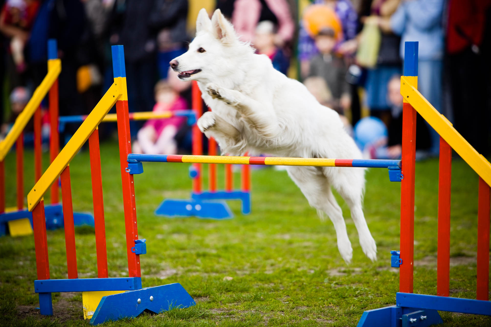 Is Agile the Secret to a More Efficient Marketing Team?