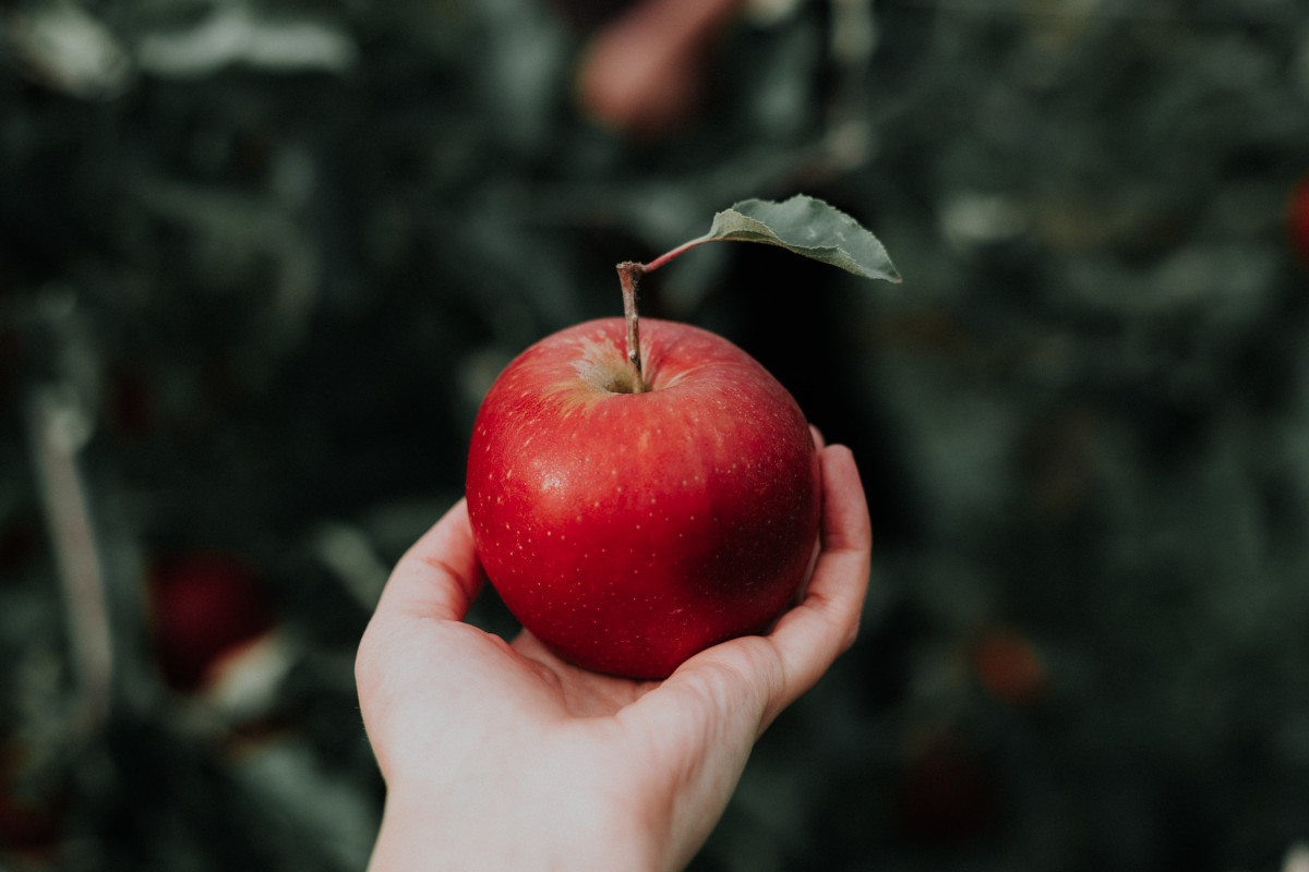 How to Tempt Your Workers to Sign Up for Your 401(k) Plan