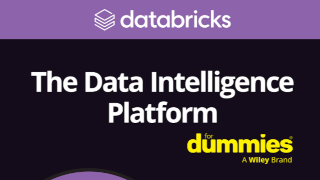The Data Intelligence Platform For Dummies