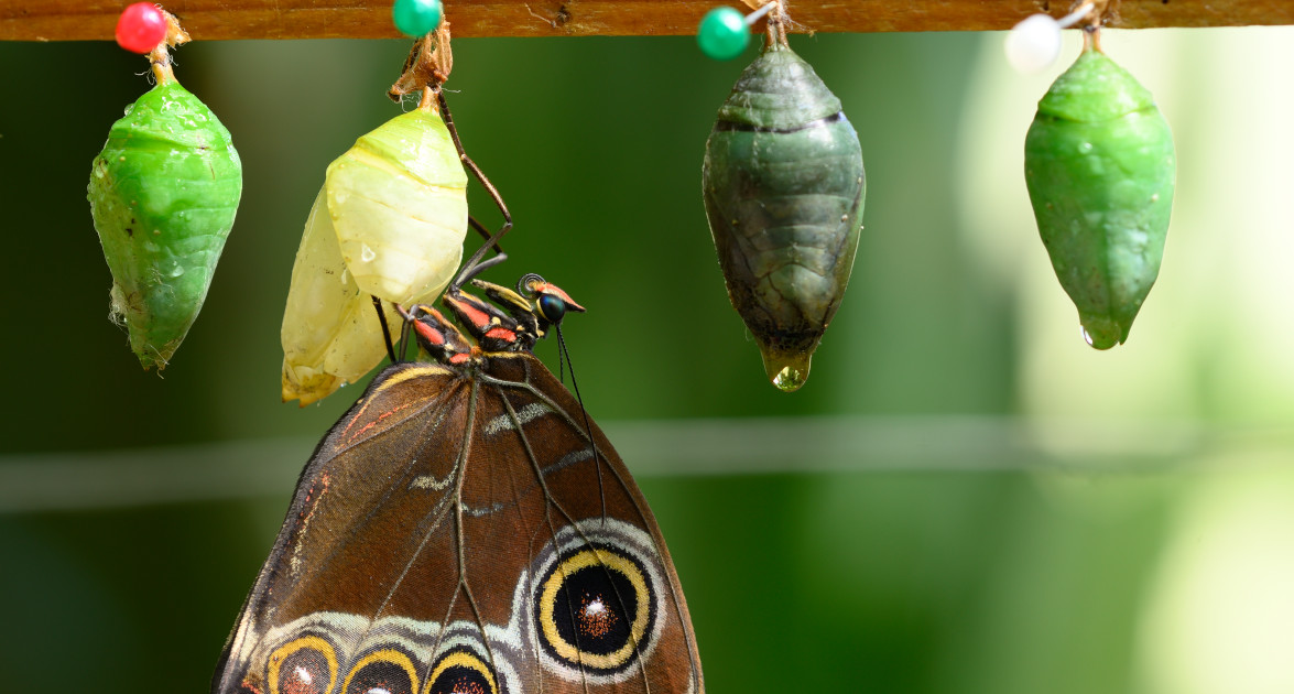 The 5 Stages of the Employee Experience Lifecycle