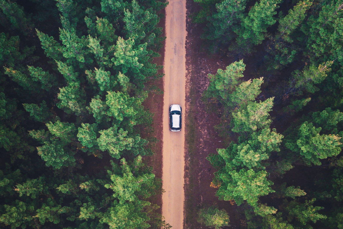 4 Things Customers Want in a Digital Journey