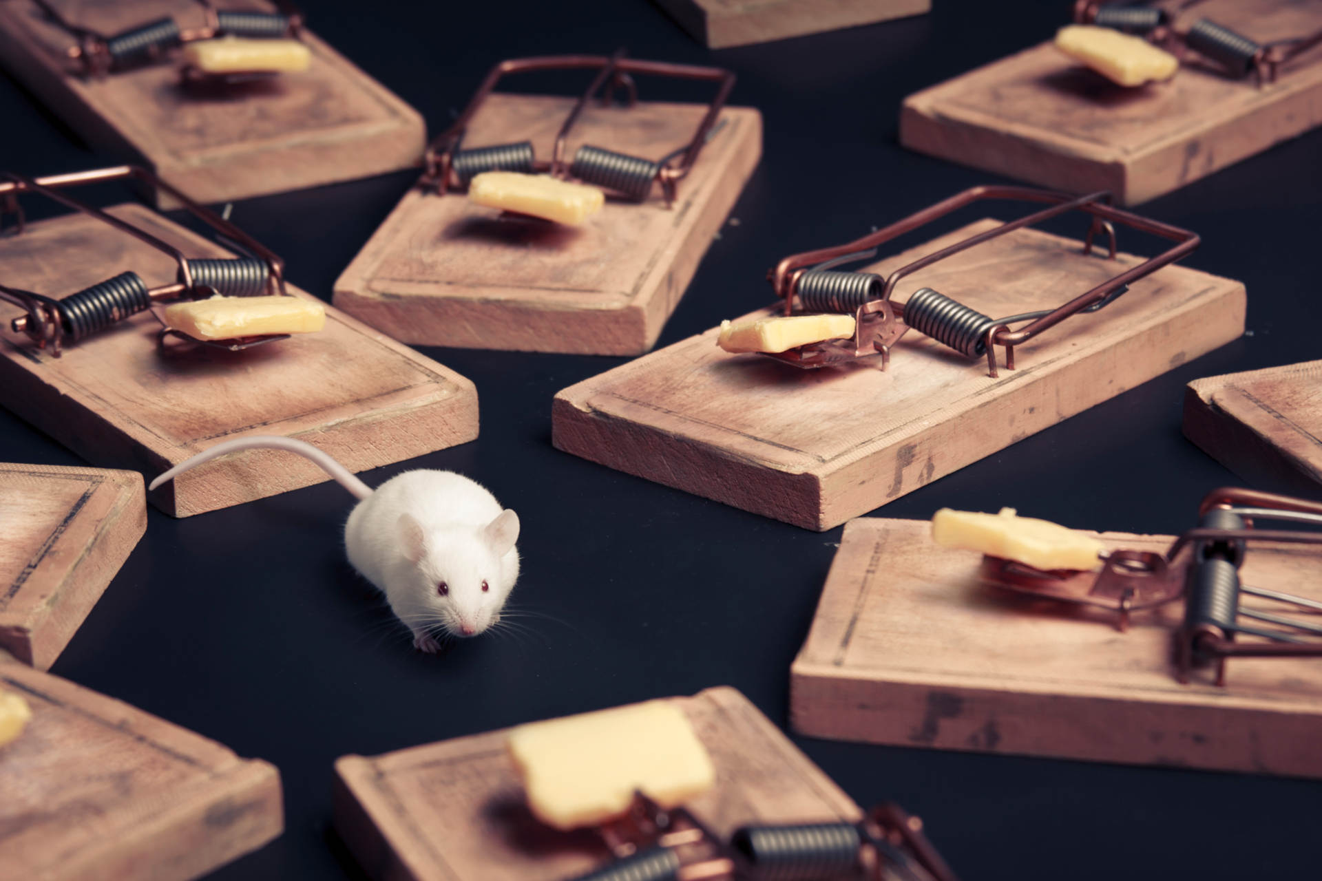 7 Traps of Managed Hosting (And How to Avoid Them)