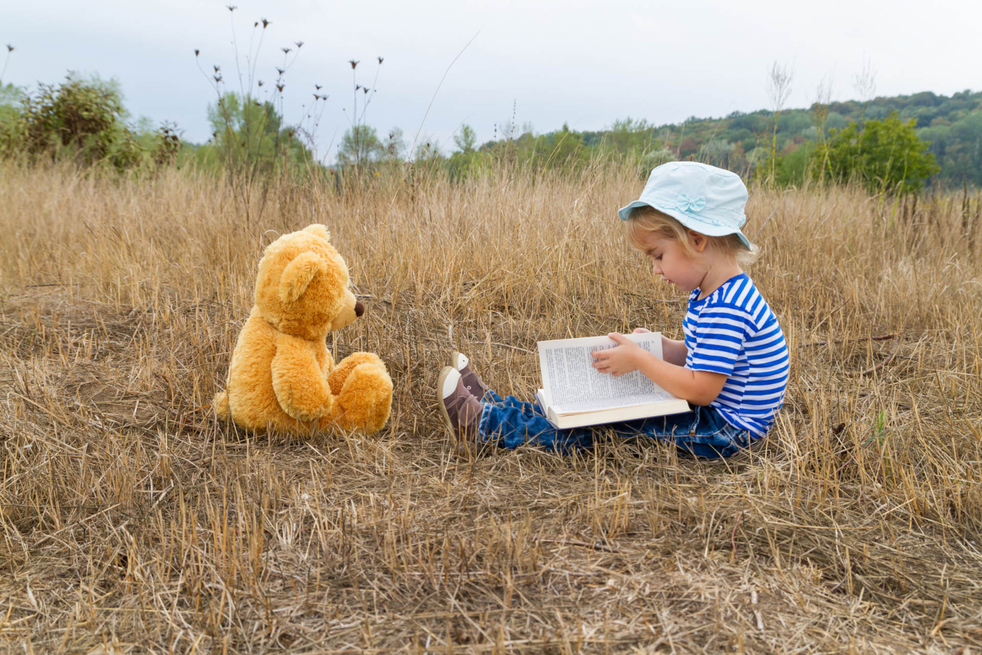Why Storytelling is Now a Vital Part of Marketing