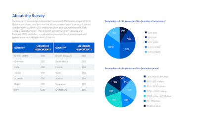 Report Cover