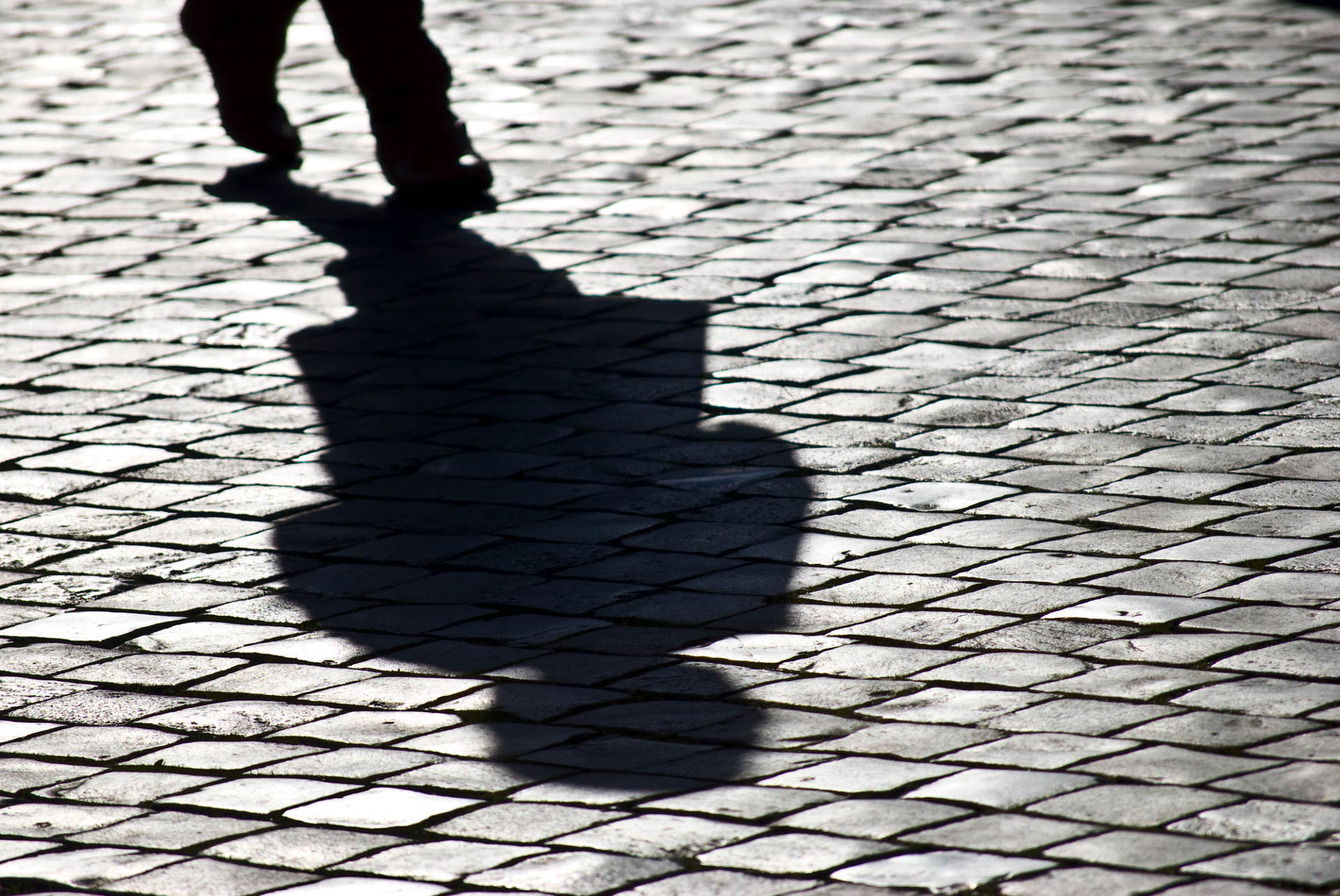 Why Half of Your Software Could be Shadow IT (And How to Take Back Control)