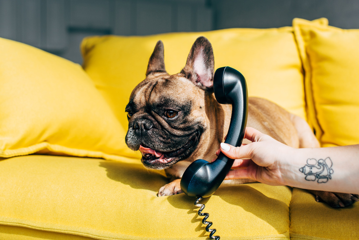 Which of these Bad Sales Habits Do You Have? [Quiz]