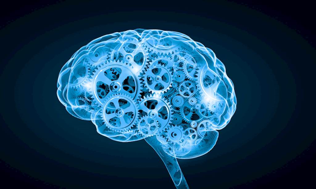 What is AI (And What Can it Actually Do)?