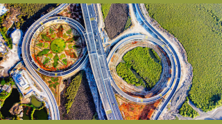 Clarity in the Era of Megaprojects