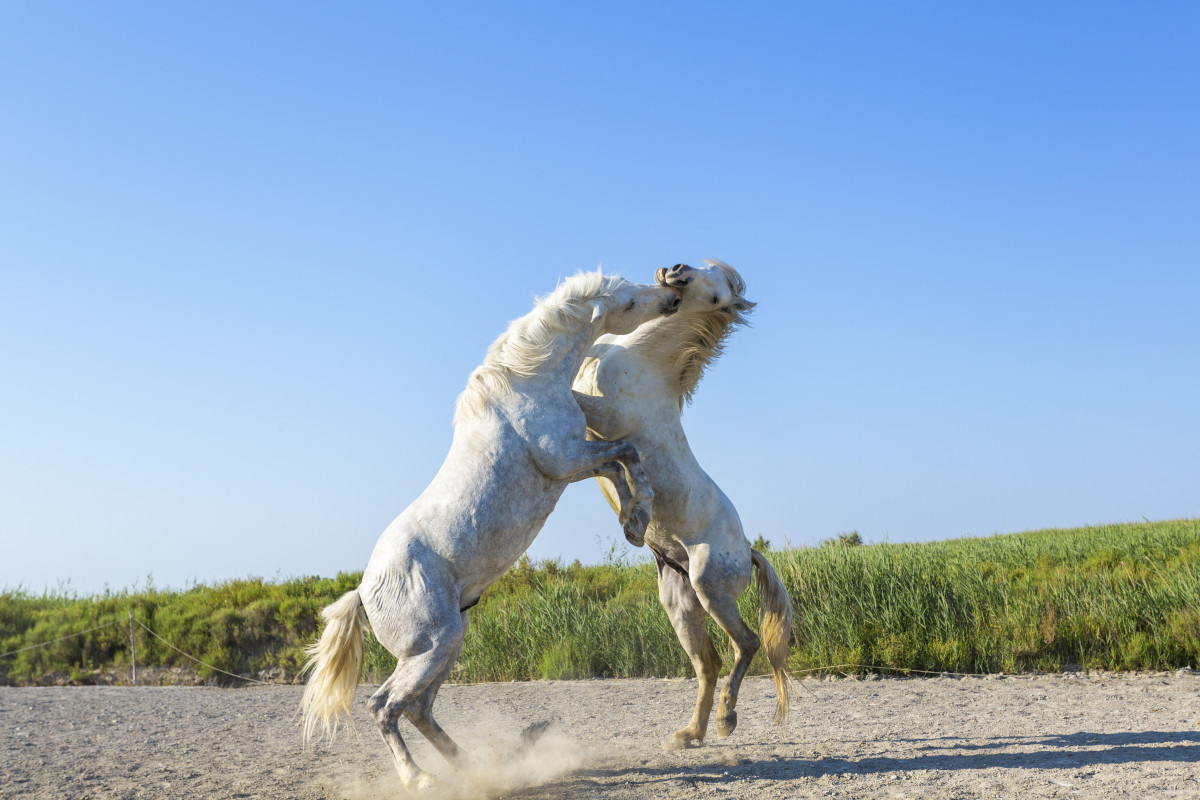 ﻿﻿Traditional vs Headless CMS: Here's What You Need to Know
