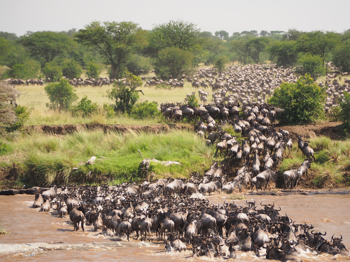 IaaS: What Every CIO Needs to Know Before Migrating