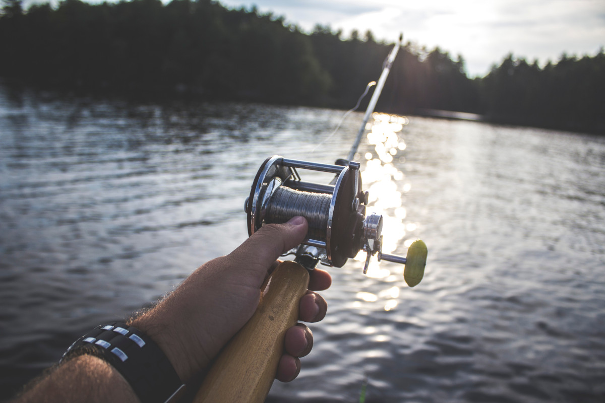 How to Test Employees on Phishing Vulnerabilities