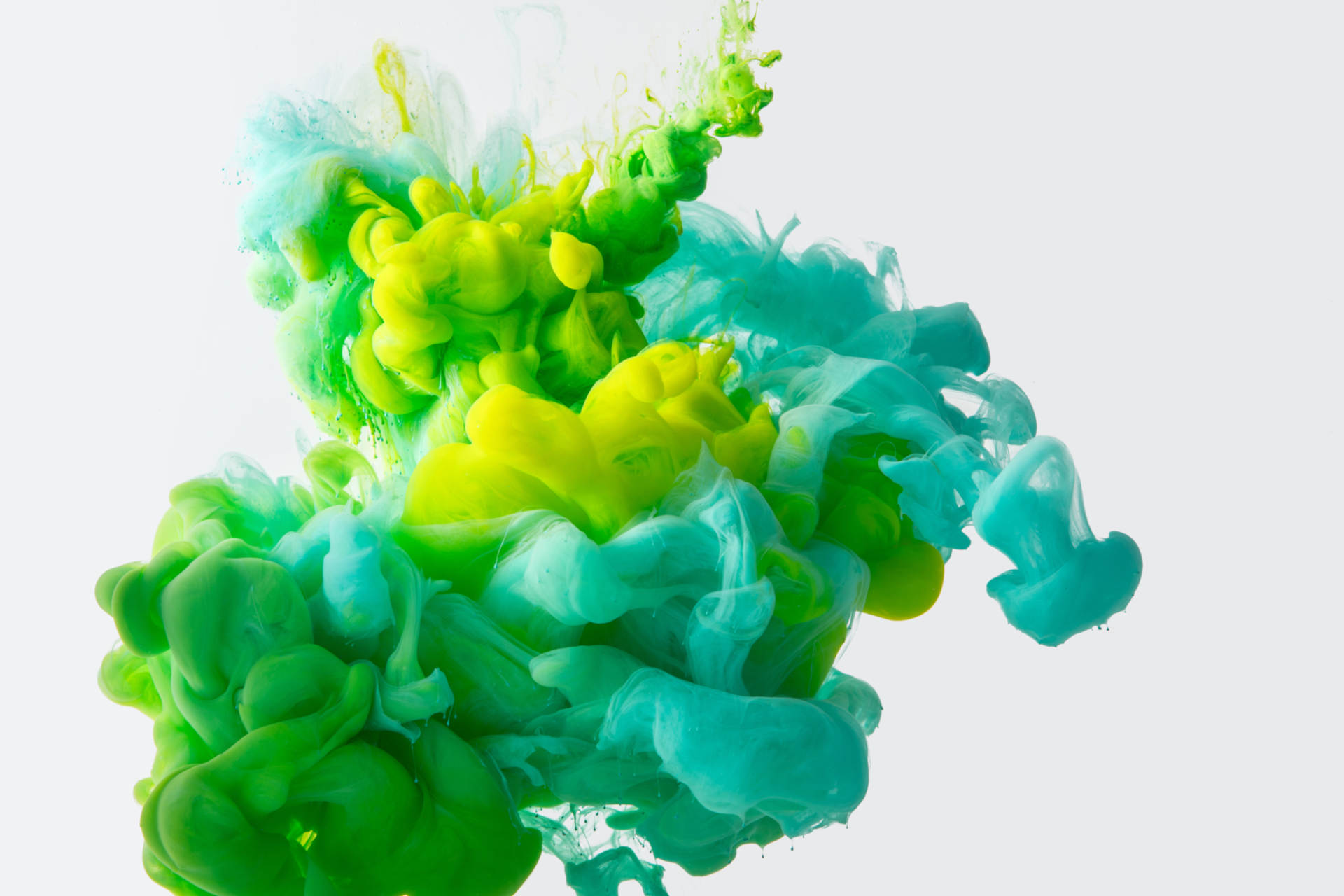 How to Create a Liquid Workforce