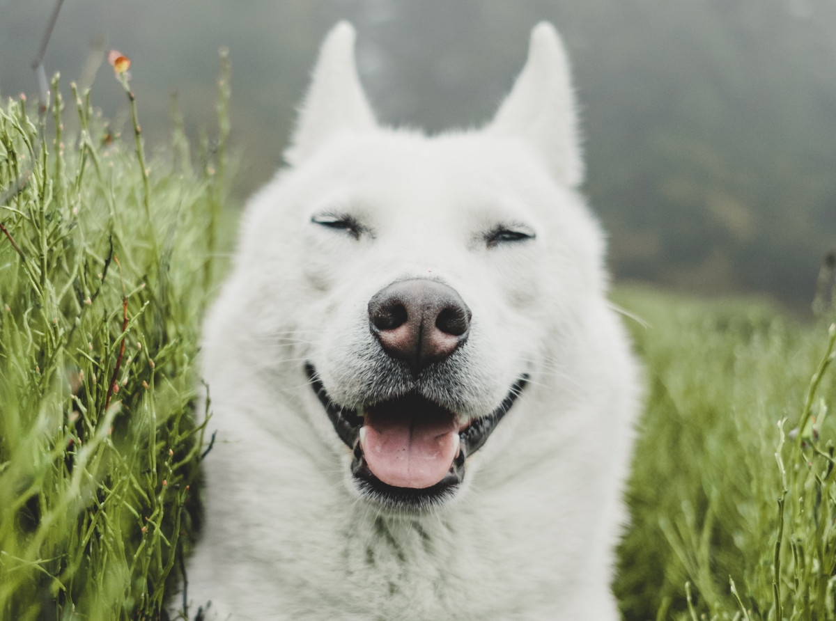 6 Daily Habits of Successful, Happy Entrepreneurs