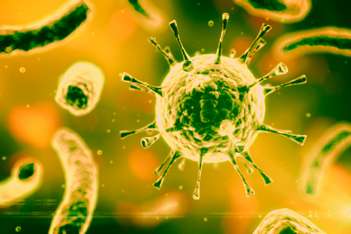 The Impact of the Coronavirus (COVID-19) on Global Supply Chain Networks
