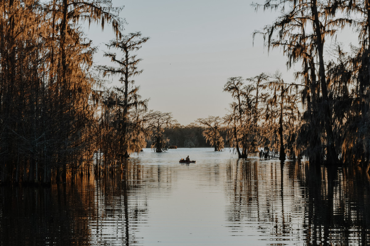 Your Data Lake Has Become a Data Swamp - Here's How to Fix It