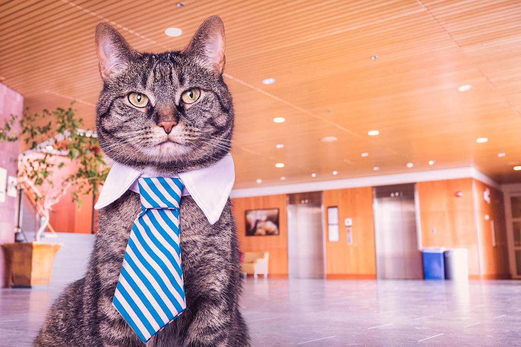 Employee Benefits You Should Consider Implementing Today
