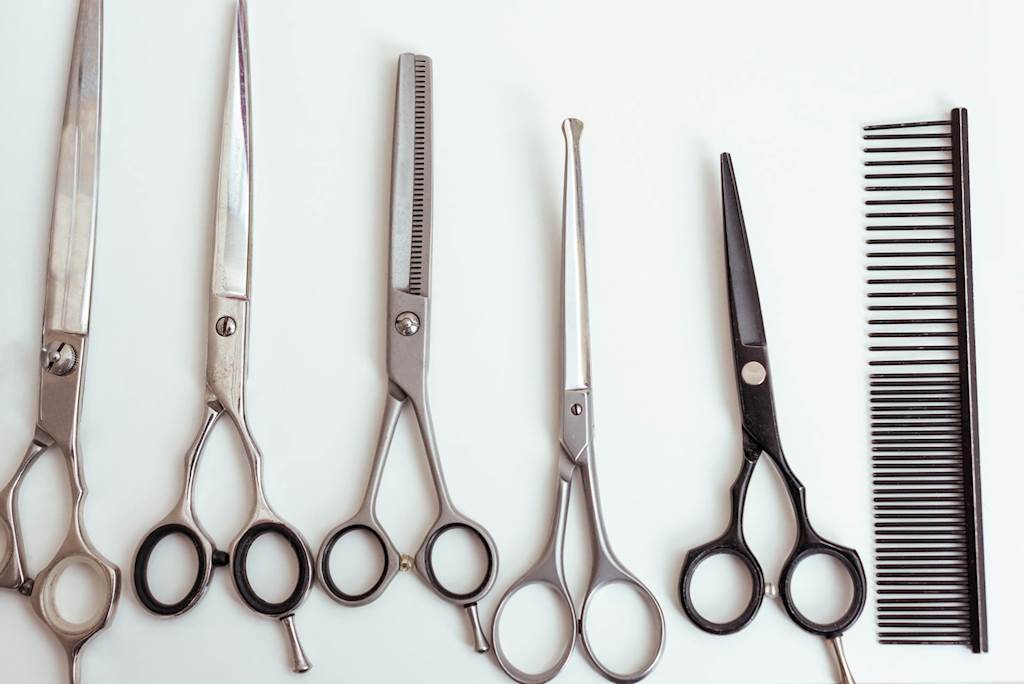 When to Cut Your Losses with Underperformers