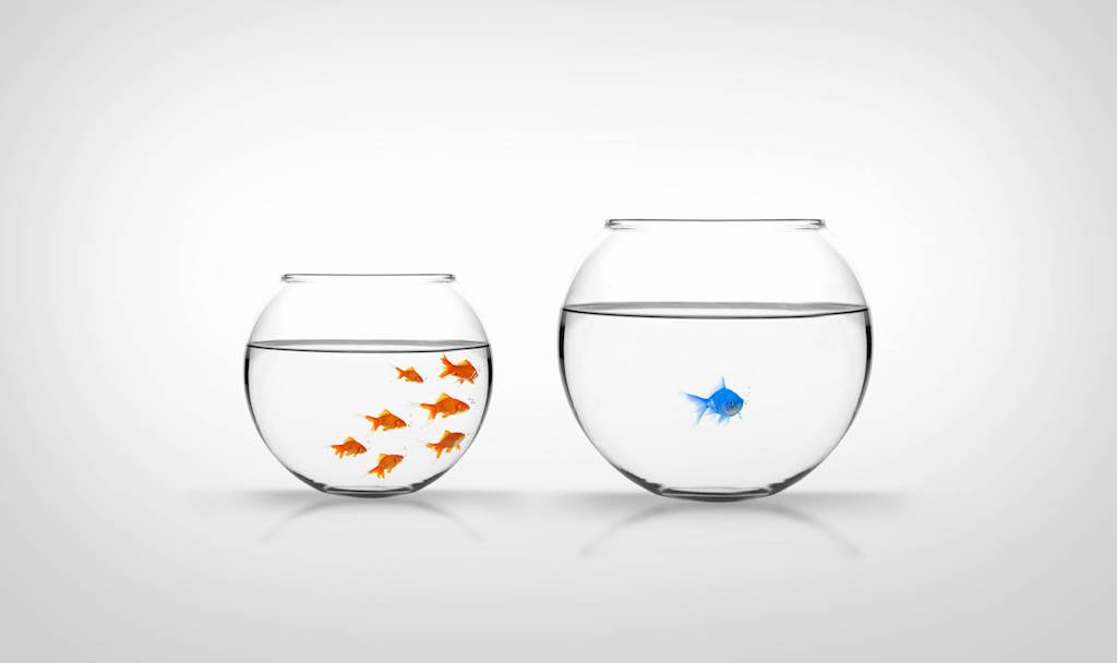 How to Detect Discrimination (And What to Do About It)