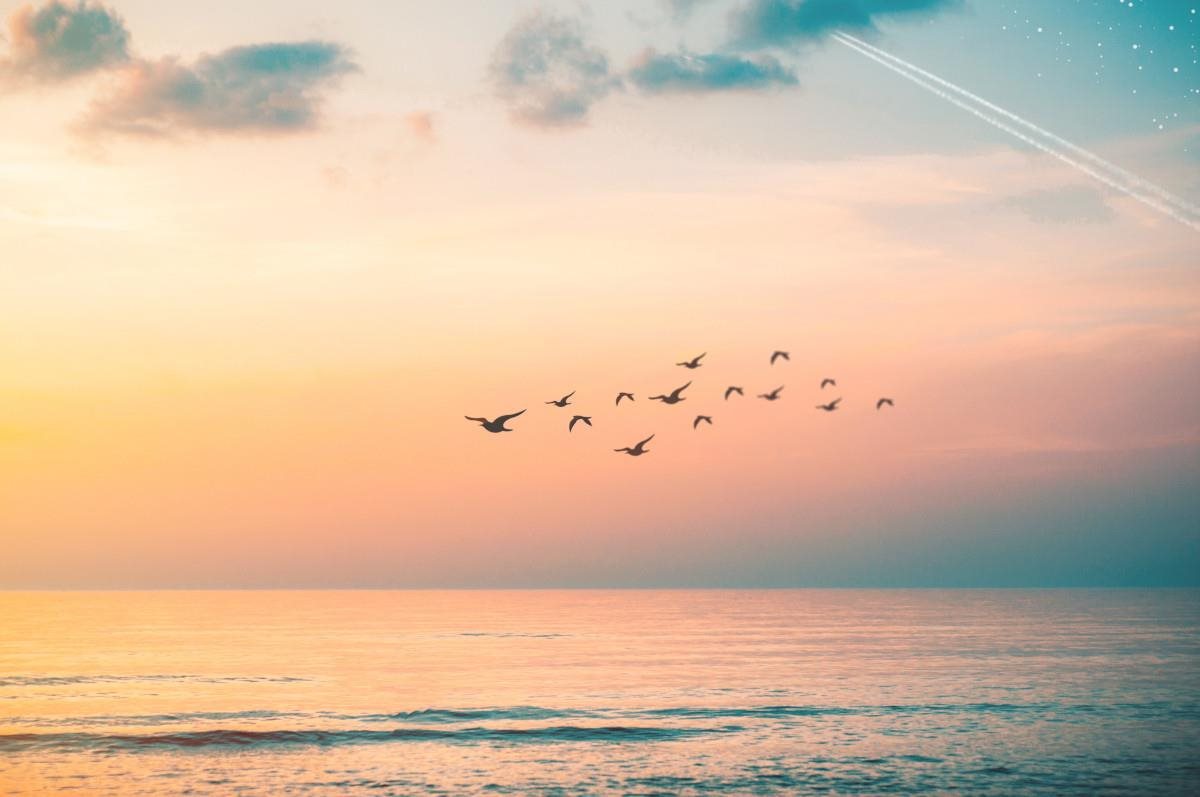 4 Cloud Migration Strategy Mistakes You Don't Know You’re Making