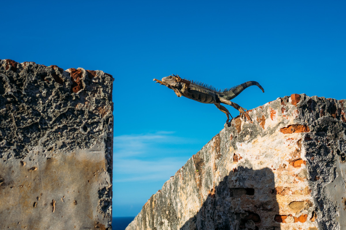 5 Steps to Conduct a Skills Gap Analysis