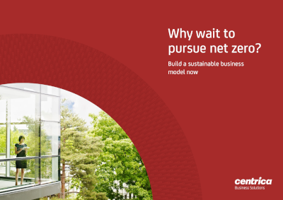 Why Wait to Pursue Net Zero?
