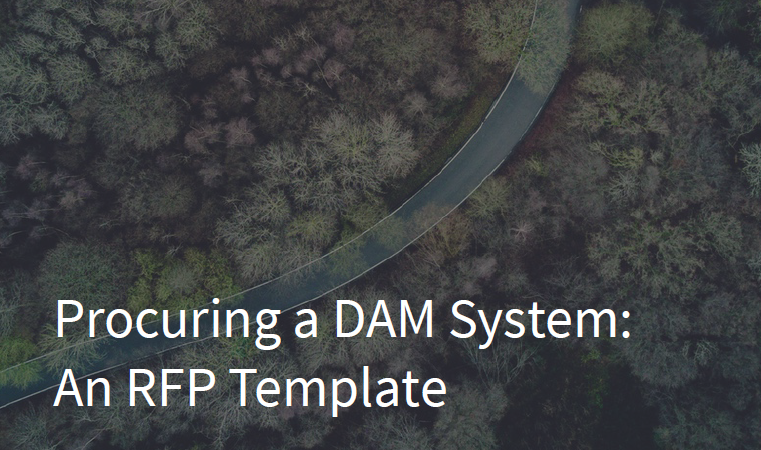 Digital Asset Management RFP Template