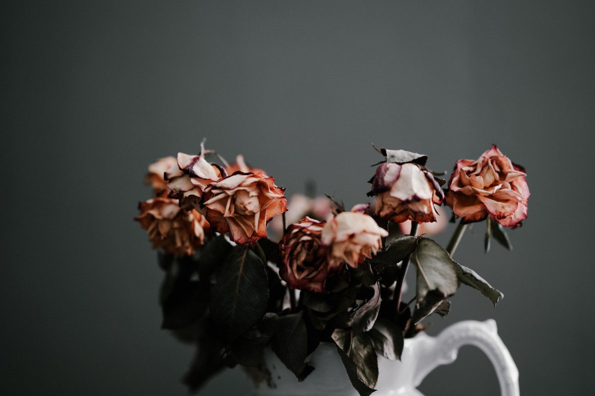 5 Reasons Why Your Social Media Strategy is Dead