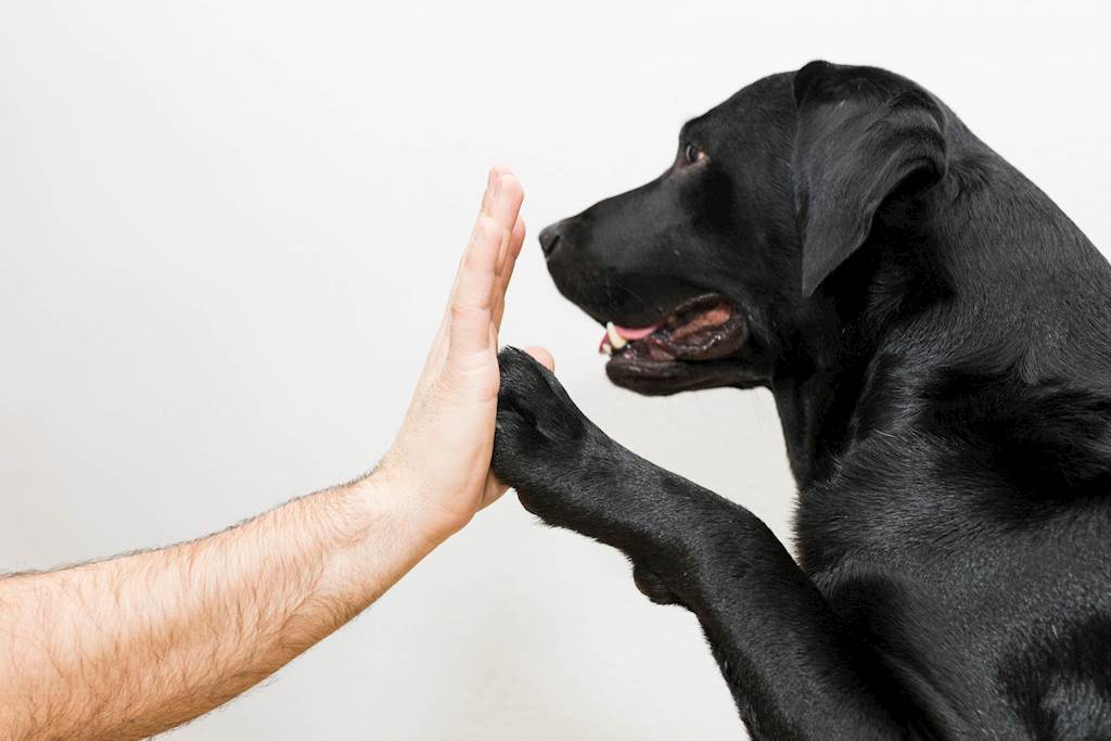How to Get Your Sales Team to Hit Target