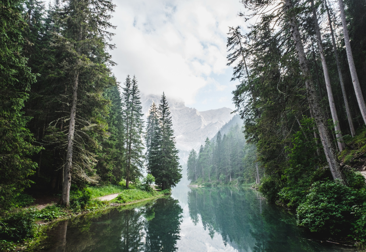 The Importance of Evergreen Content in Your Marketing Strategy
