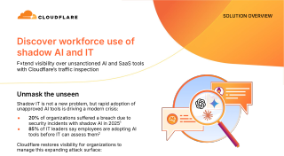 Discover workforce use of shadow AI and IT